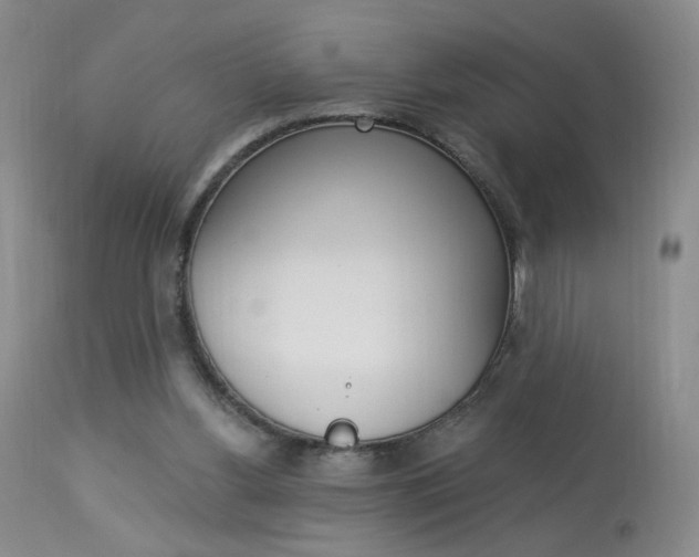X0000114030156200910021049