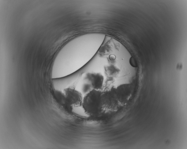 X0000114030161200910021049