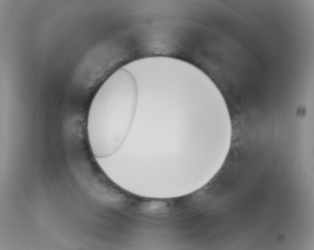 X0000114030162200910021050
