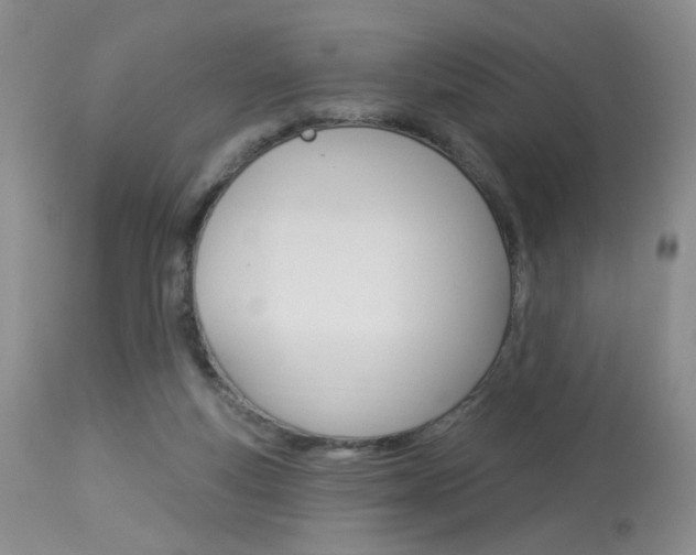 X0000114030163200910021050