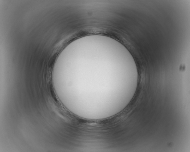 X0000114030165200910021050