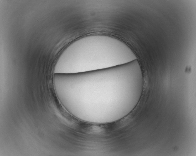 X0000114030166200910021050