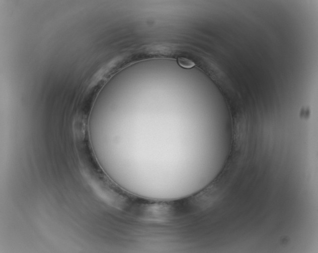 X0000114030168200910021050