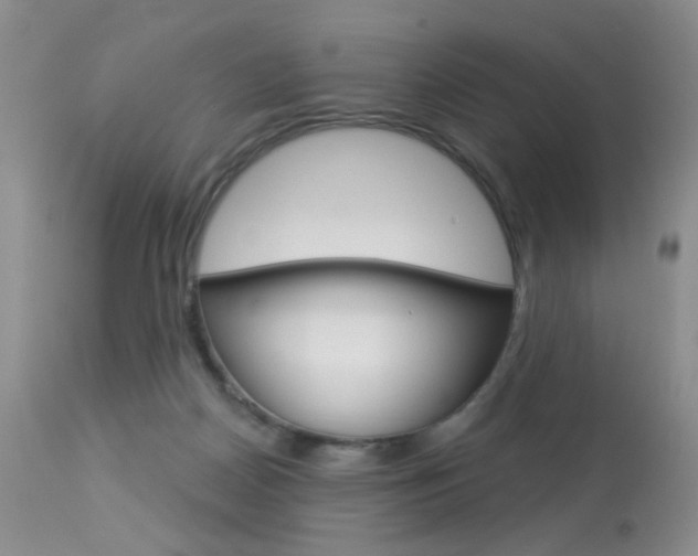 X0000114030170200910021050