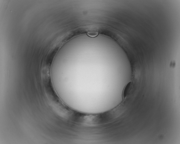X0000114030172200910021050