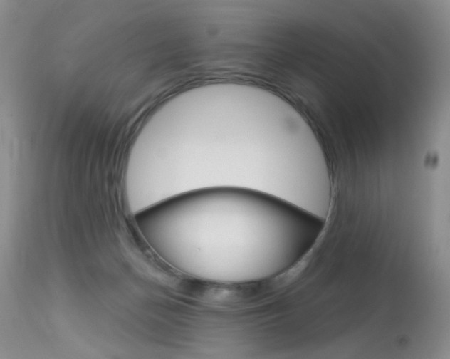 X0000114030174200910021050