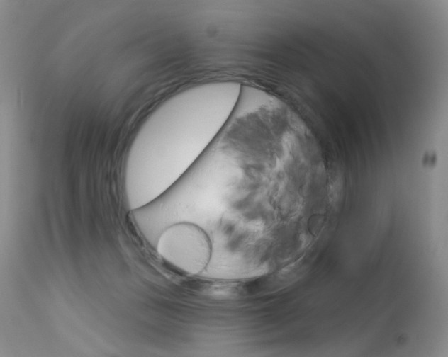 X0000114030175200910021050