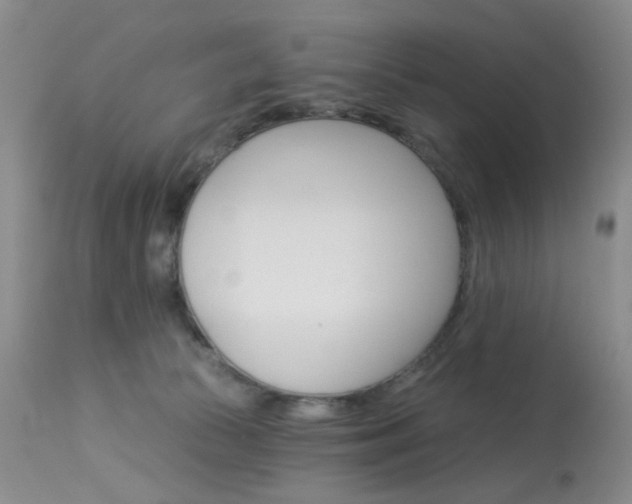 X0000114030177200910021050