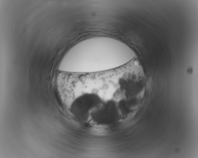 X0000114030179200910021050