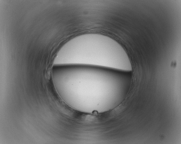 X0000114030180200910021050