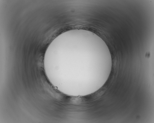 X0000114030181200910021050