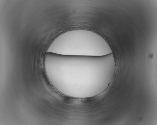 X0000114030182200910021050