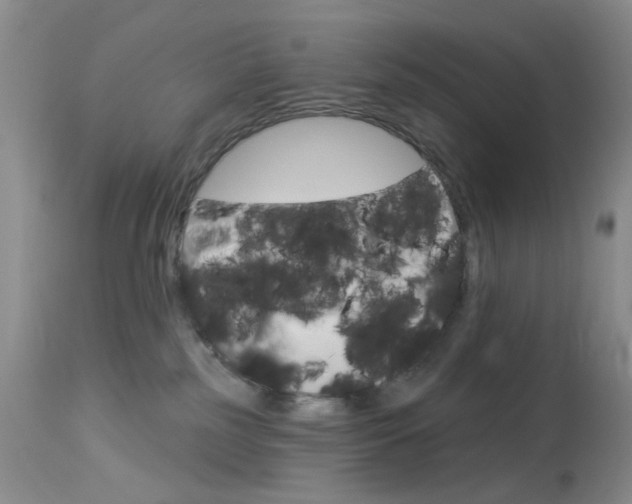 X0000114030185200910021050