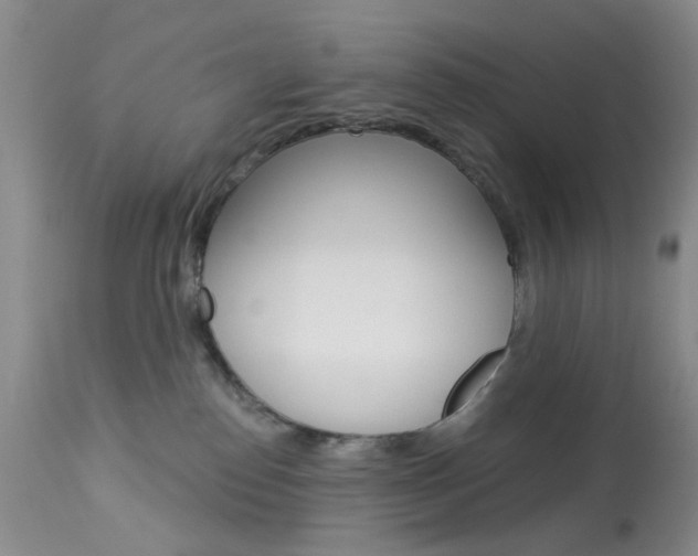 X0000114030186200910021050