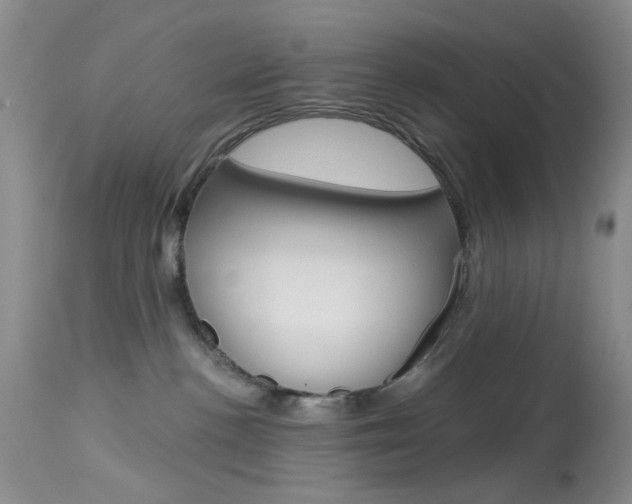 X0000114030188200910021050