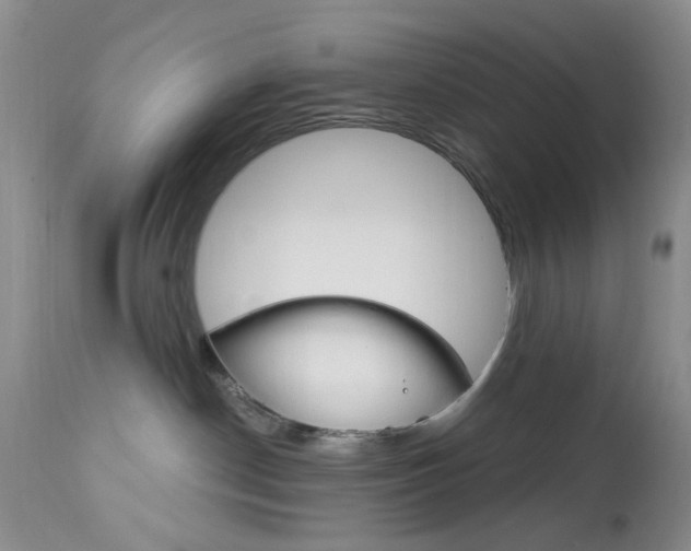 X0000114030190200910021050