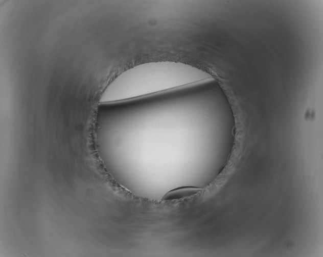 X0000114030192200910021050