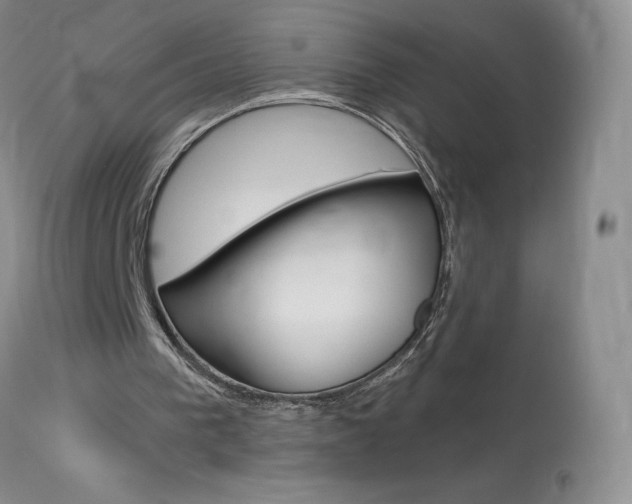 X0000114030193200910021049