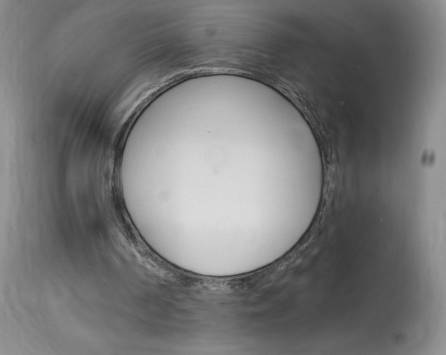 X0000114030194200910021049