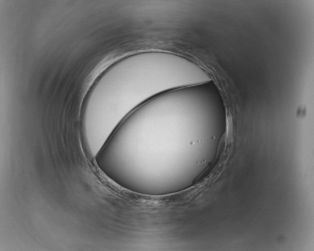 X0000114030195200910021049