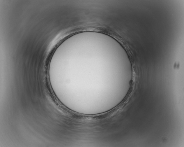 X0000114030198200910021049
