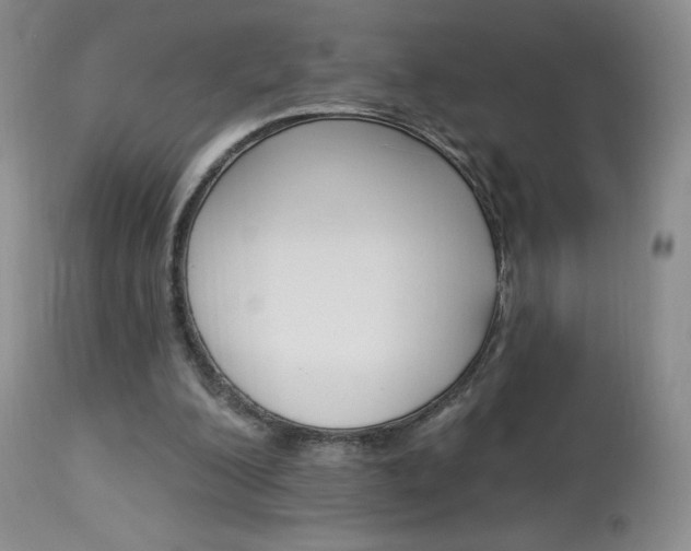 X0000114030200200910021049
