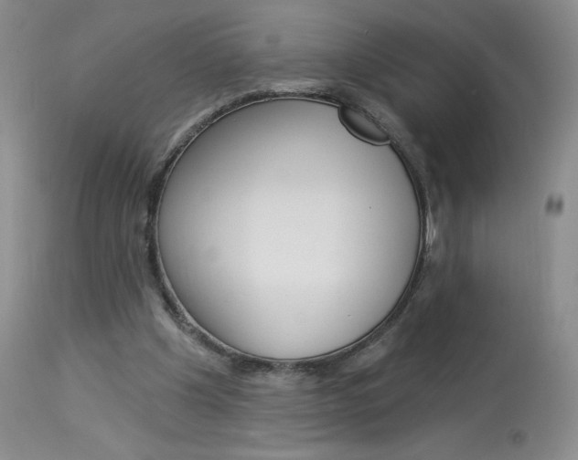 X0000114030201200910021049
