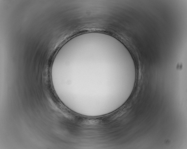 X0000114030202200910021049