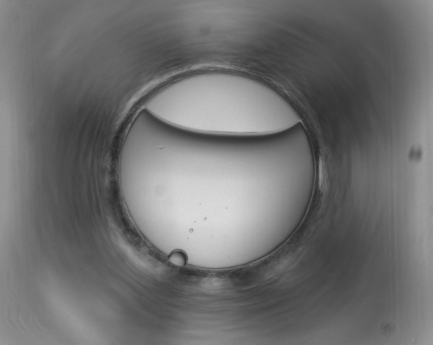 X0000114030204200910021049