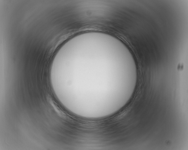 X0000114030205200910021049