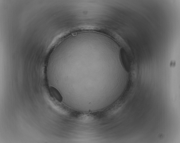X0000114030207200910021049