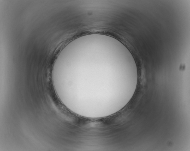 X0000114030210200910021049