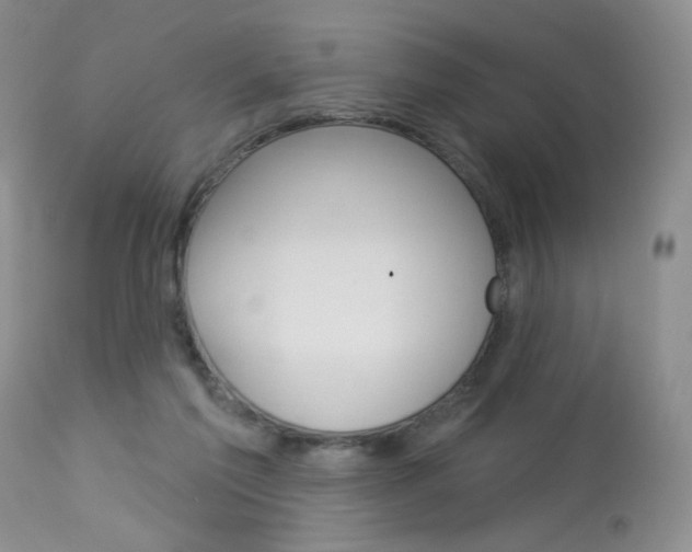 X0000114030213200910021049