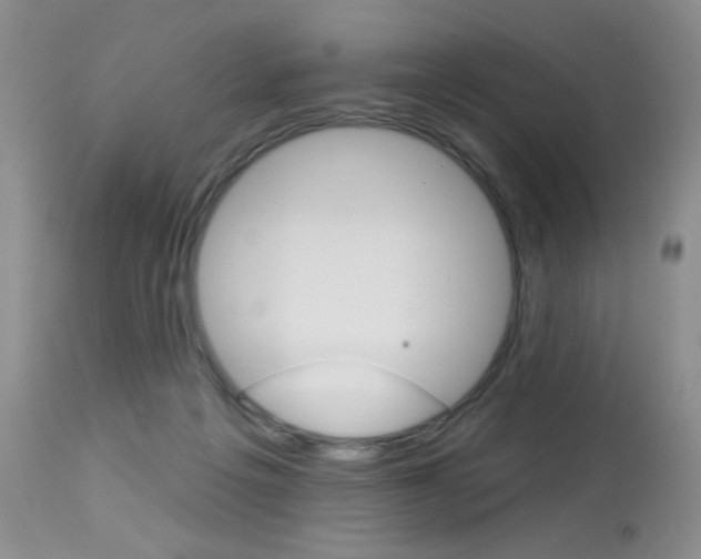 X0000114030217200910021049