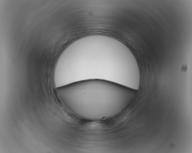 X0000114030219200910021049