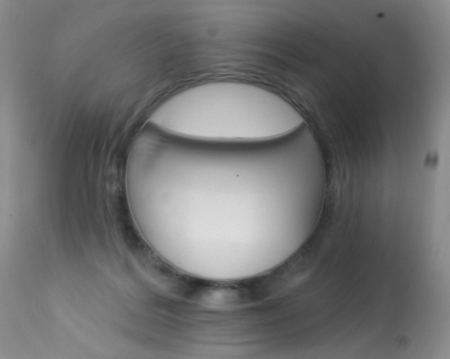 X0000114030220200910021049