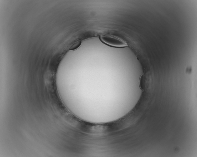X0000114030225200910021049