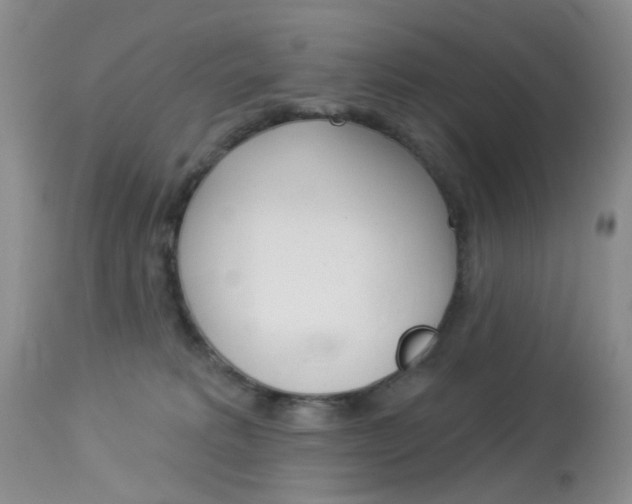 X0000114030229200910021049