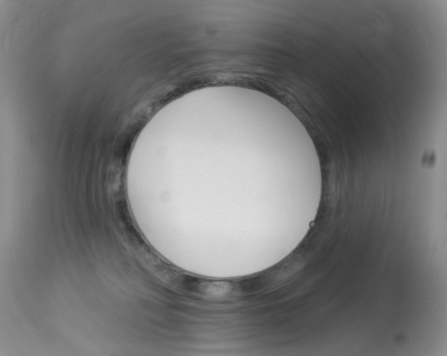X0000114030230200910021049