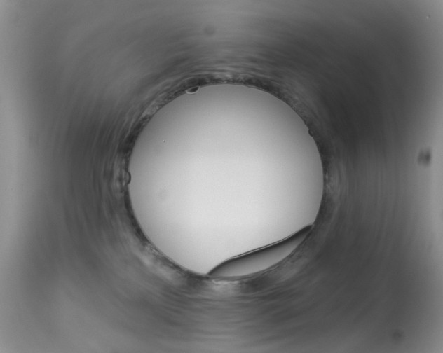 X0000114030233200910021049