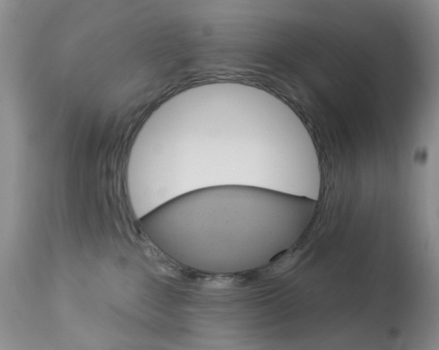 X0000114030235200910021049