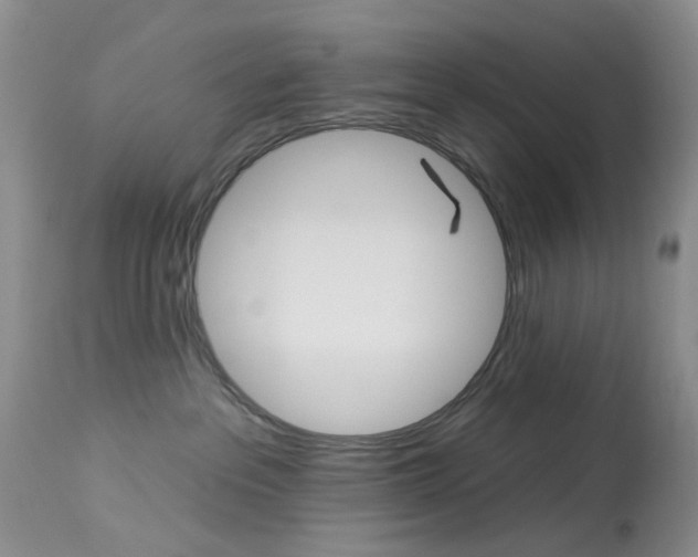 X0000114030237200910021048