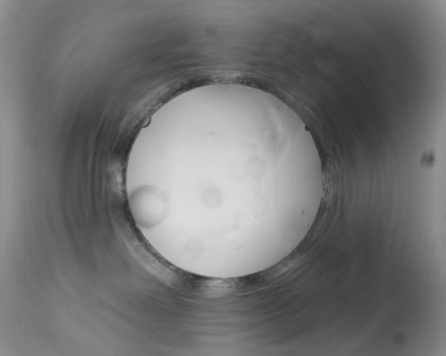 X0000114030238200910021048