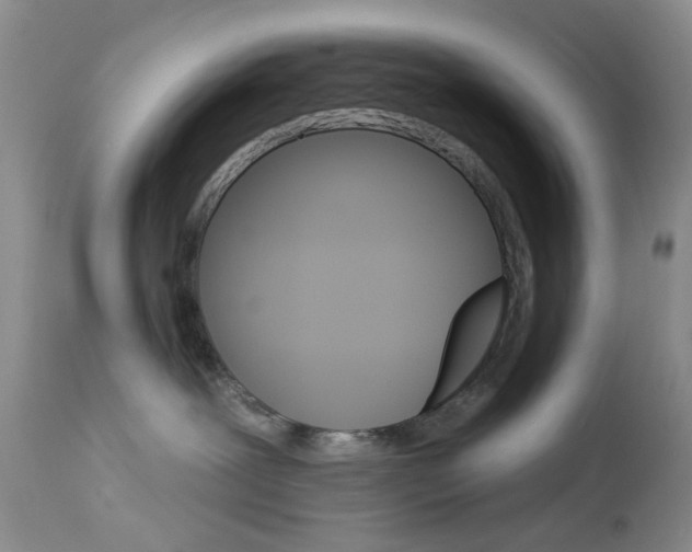 X0000114030239200910021048