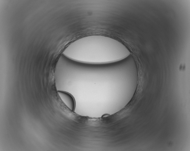 X0000114030240200910021048