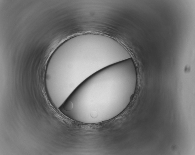X0000114030241200910021048