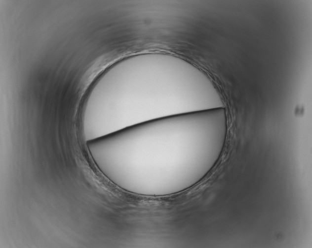 X0000114030242200910021048