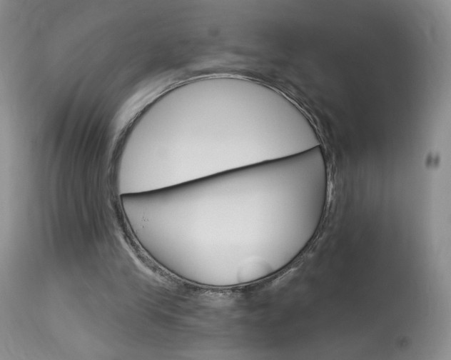 X0000114030245200910021048