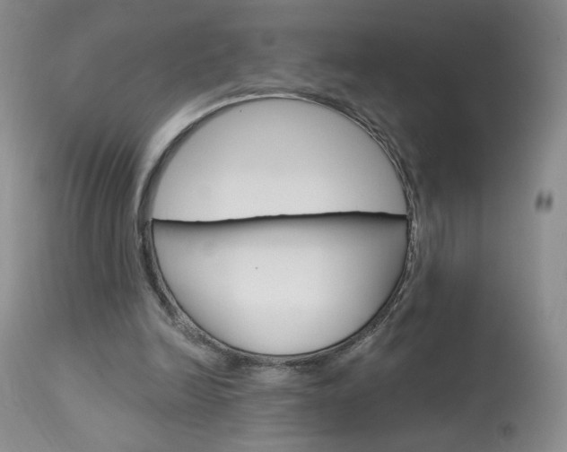 X0000114030246200910021048
