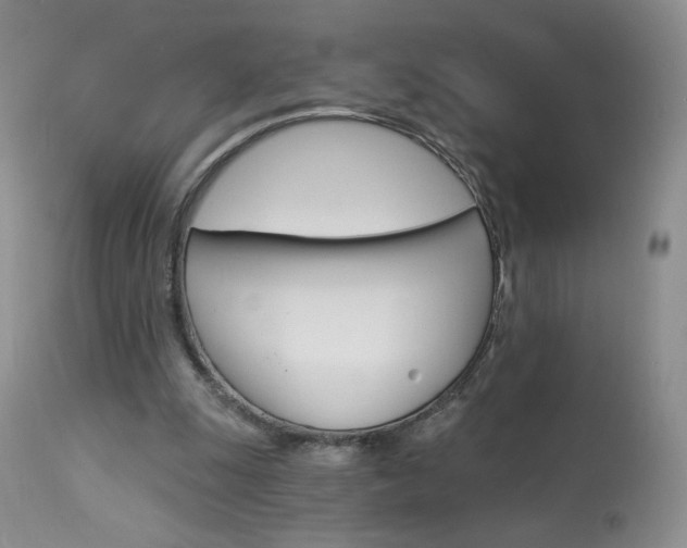 X0000114030247200910021048